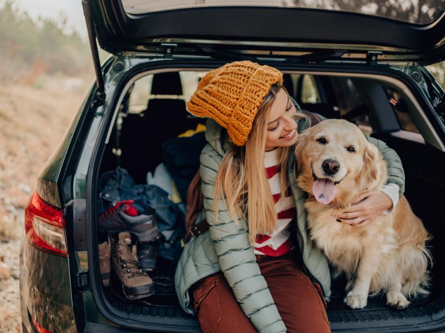 ¿Cómo viajar con tu mascota en carro? GHL Hôtels